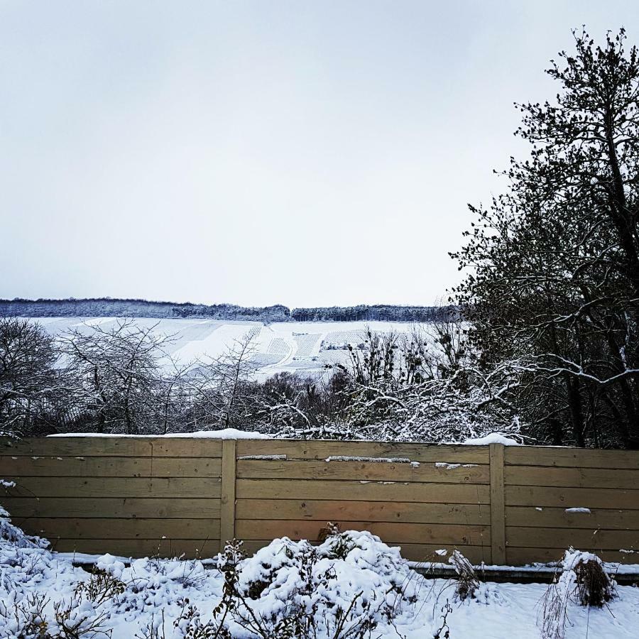 Gite Millesime Et Une Nuit Villers-sous-Chatillon Exterior photo
